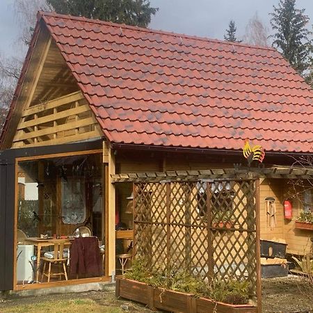 Holzhaus Mit Direktem Wasserzugang In Berlin-Koepenick Extérieur photo